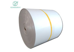 pe paper rolls for cups